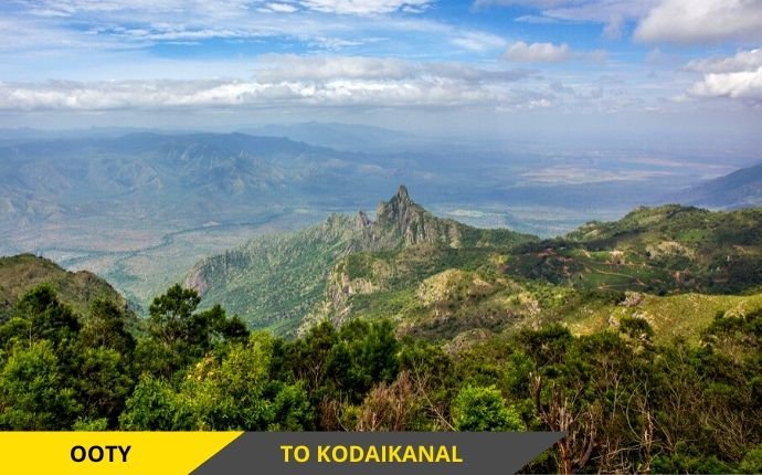 Travels in Kodaikanal | Tour Packages in Kodaikanal | Best Travels in Kodaikanal | Local Tour Packages in Kodaikanal | Kodaikanal Travels | Cab Rentals in Kodaikanal | Car Booking in Kodaikanal | Hotel in Kodaikanal | Cottages in Kodaikanal | Resorts in Kodaikanal | Hotels and Resorts in Kodikanal | Camp Fire in Kodiakanal | Kodaikanal Resorts | Kodaikanal Hotels | Group Tours | Corporate Tours | Kodaikanal Package Tours | Kodaikanal sightseeing tour package| kodaikanal local tours|Honeymoon Packages| Honeymoon package in kodaikanal|kodaikanal Tour package | Kodaikanal Tours | Kodaikanal Sightseeing | Kodaikanal | Kodaikanal Hotels | Kodaikanal Budget Hotels | Kodaikanal Economy Hotels | Kodaikanal |Kodaikanal Hotels rates below 500| Budget cottages in Kodaikanal with rates | Kodaikanal Car Rental |Car Rental Kodaikanal |Taxi in Kodaikanal | Kodaikanal Taxi Service | Kodaikanal Cabs |South India Tours | Madurai Tours | Rameshwaram Tours | Kanyakumari Tours | Munnar Tours | Alleppey tours | Kerala tours | Thekkady tours