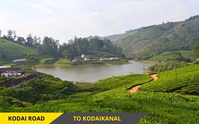 Travels in Kodaikanal | Tour Packages in Kodaikanal | Best Travels in Kodaikanal | Local Tour Packages in Kodaikanal | Kodaikanal Travels | Cab Rentals in Kodaikanal | Car Booking in Kodaikanal | Hotel in Kodaikanal | Cottages in Kodaikanal | Resorts in Kodaikanal | Hotels and Resorts in Kodikanal | Camp Fire in Kodiakanal | Kodaikanal Resorts | Kodaikanal Hotels | Group Tours | Corporate Tours | Kodaikanal Package Tours | Kodaikanal sightseeing tour package| kodaikanal local tours|Honeymoon Packages| Honeymoon package in kodaikanal|kodaikanal Tour package | Kodaikanal Tours | Kodaikanal Sightseeing | Kodaikanal | Kodaikanal Hotels | Kodaikanal Budget Hotels | Kodaikanal Economy Hotels | Kodaikanal |Kodaikanal Hotels rates below 500| Budget cottages in Kodaikanal with rates | Kodaikanal Car Rental |Car Rental Kodaikanal |Taxi in Kodaikanal | Kodaikanal Taxi Service | Kodaikanal Cabs |South India Tours | Madurai Tours | Rameshwaram Tours | Kanyakumari Tours | Munnar Tours | Alleppey tours | Kerala tours | Thekkady tours