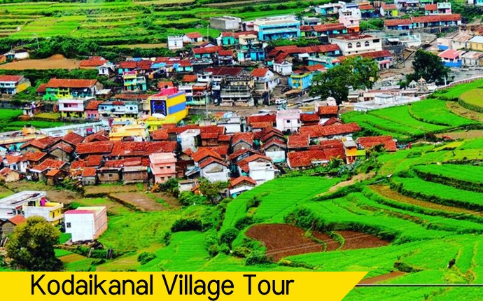 Travels in Kodaikanal | Tour Packages in Kodaikanal | Best Travels in Kodaikanal | Local Tour Packages in Kodaikanal | Kodaikanal Travels | Cab Rentals in Kodaikanal | Car Booking in Kodaikanal | Hotel in Kodaikanal | Cottages in Kodaikanal | Resorts in Kodaikanal | Hotels and Resorts in Kodikanal | Camp Fire in Kodiakanal | Kodaikanal Resorts | Kodaikanal Hotels | Group Tours | Corporate Tours | Kodaikanal Package Tours | Kodaikanal sightseeing tour package| Kodaikanalk Cab Rentals | Kodiakanal Adventure | Jeep Safari in Kodaikanal | Forest Safary in Kodaikanal | Night Safari in Kodaikanal |Kodaikanal local tours|Honeymoon Packages| Honeymoon package in kodaikanal|kodaikanal Tour package | Kodaikanal Tours | Kodaikanal Sightseeing | Kodaikanal | Kodaikanal Hotels | Kodaikanal Budget Hotels | Kodaikanal Economy Hotels | Kodaikanal |Kodaikanal Hotels rates below 500| Budget cottages in Kodaikanal with rates | Kodaikanal Car Rental |Car Rental Kodaikanal |Taxi in Kodaikanal | Kodaikanal Taxi Service | Kodaikanal Cabs |South India Tours | Madurai Tours | Rameshwaram Tours | Kanyakumari Tours | Munnar Tours | Alleppey tours | Kerala tours | Thekkady tours