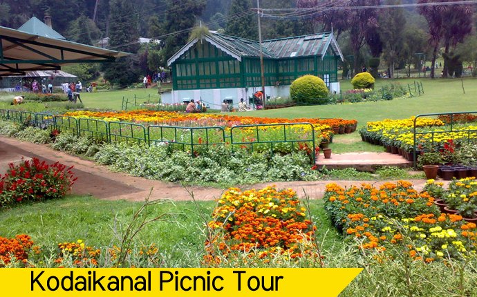 Travels in Kodaikanal | Tour Packages in Kodaikanal | Best Travels in Kodaikanal | Local Tour Packages in Kodaikanal | Kodaikanal Travels | Cab Rentals in Kodaikanal | Car Booking in Kodaikanal | Hotel in Kodaikanal | Cottages in Kodaikanal | Resorts in Kodaikanal | Hotels and Resorts in Kodikanal | Camp Fire in Kodiakanal | Kodaikanal Resorts | Kodaikanal Hotels | Group Tours | Corporate Tours | Kodaikanal Package Tours | Kodaikanal sightseeing tour package| Kodaikanalk Cab Rentals | Kodiakanal Adventure | Jeep Safari in Kodaikanal | Forest Safary in Kodaikanal | Night Safari in Kodaikanal |Kodaikanal local tours|Honeymoon Packages| Honeymoon package in kodaikanal|kodaikanal Tour package | Kodaikanal Tours | Kodaikanal Sightseeing | Kodaikanal | Kodaikanal Hotels | Kodaikanal Budget Hotels | Kodaikanal Economy Hotels | Kodaikanal |Kodaikanal Hotels rates below 500| Budget cottages in Kodaikanal with rates | Kodaikanal Car Rental |Car Rental Kodaikanal |Taxi in Kodaikanal | Kodaikanal Taxi Service | Kodaikanal Cabs |South India Tours | Madurai Tours | Rameshwaram Tours | Kanyakumari Tours | Munnar Tours | Alleppey tours | Kerala tours | Thekkady tours