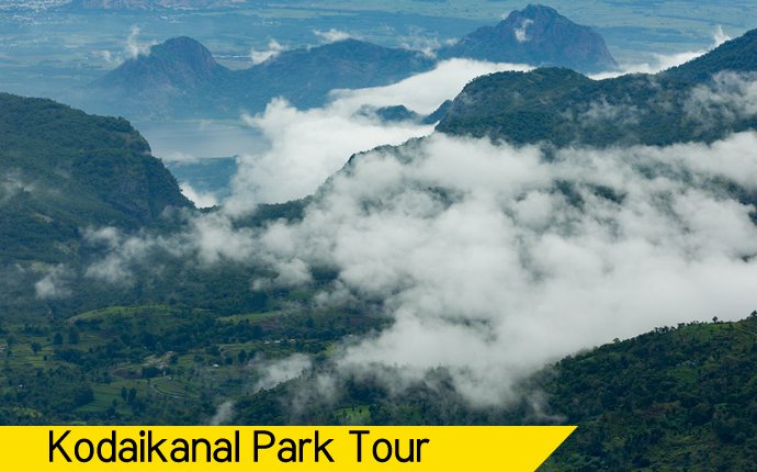 Travels in Kodaikanal | Tour Packages in Kodaikanal | Best Travels in Kodaikanal | Local Tour Packages in Kodaikanal | Kodaikanal Travels | Cab Rentals in Kodaikanal | Car Booking in Kodaikanal | Hotel in Kodaikanal | Cottages in Kodaikanal | Resorts in Kodaikanal | Hotels and Resorts in Kodikanal | Camp Fire in Kodiakanal | Kodaikanal Resorts | Kodaikanal Hotels | Group Tours | Corporate Tours | Kodaikanal Package Tours | Kodaikanal sightseeing tour package| Kodaikanalk Cab Rentals | Kodiakanal Adventure | Jeep Safari in Kodaikanal | Forest Safary in Kodaikanal | Night Safari in Kodaikanal |Kodaikanal local tours|Honeymoon Packages| Honeymoon package in kodaikanal|kodaikanal Tour package | Kodaikanal Tours | Kodaikanal Sightseeing | Kodaikanal | Kodaikanal Hotels | Kodaikanal Budget Hotels | Kodaikanal Economy Hotels | Kodaikanal |Kodaikanal Hotels rates below 500| Budget cottages in Kodaikanal with rates | Kodaikanal Car Rental |Car Rental Kodaikanal |Taxi in Kodaikanal | Kodaikanal Taxi Service | Kodaikanal Cabs |South India Tours | Madurai Tours | Rameshwaram Tours | Kanyakumari Tours | Munnar Tours | Alleppey tours | Kerala tours | Thekkady tours